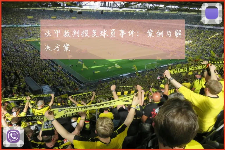 法甲裁判报复球员事件：案例与解决方案